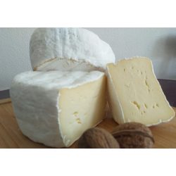 Branza Mucegai Floare de colt Torockoi